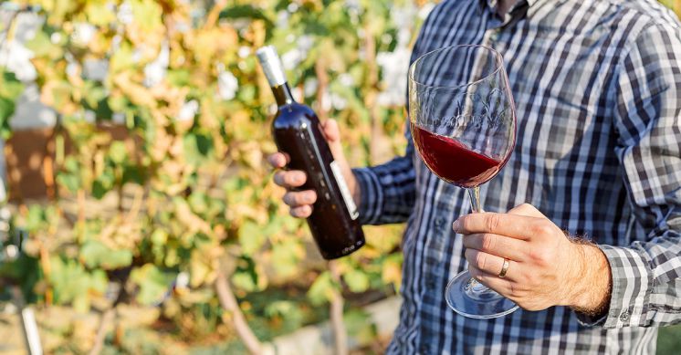 L'étiquette, un critère de choix pour votre bouteille de vin - Saint Mont